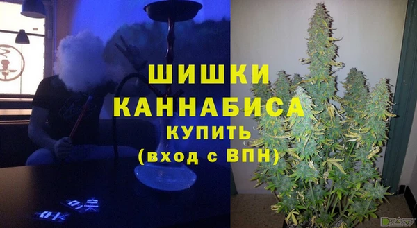 соль ск Рославль